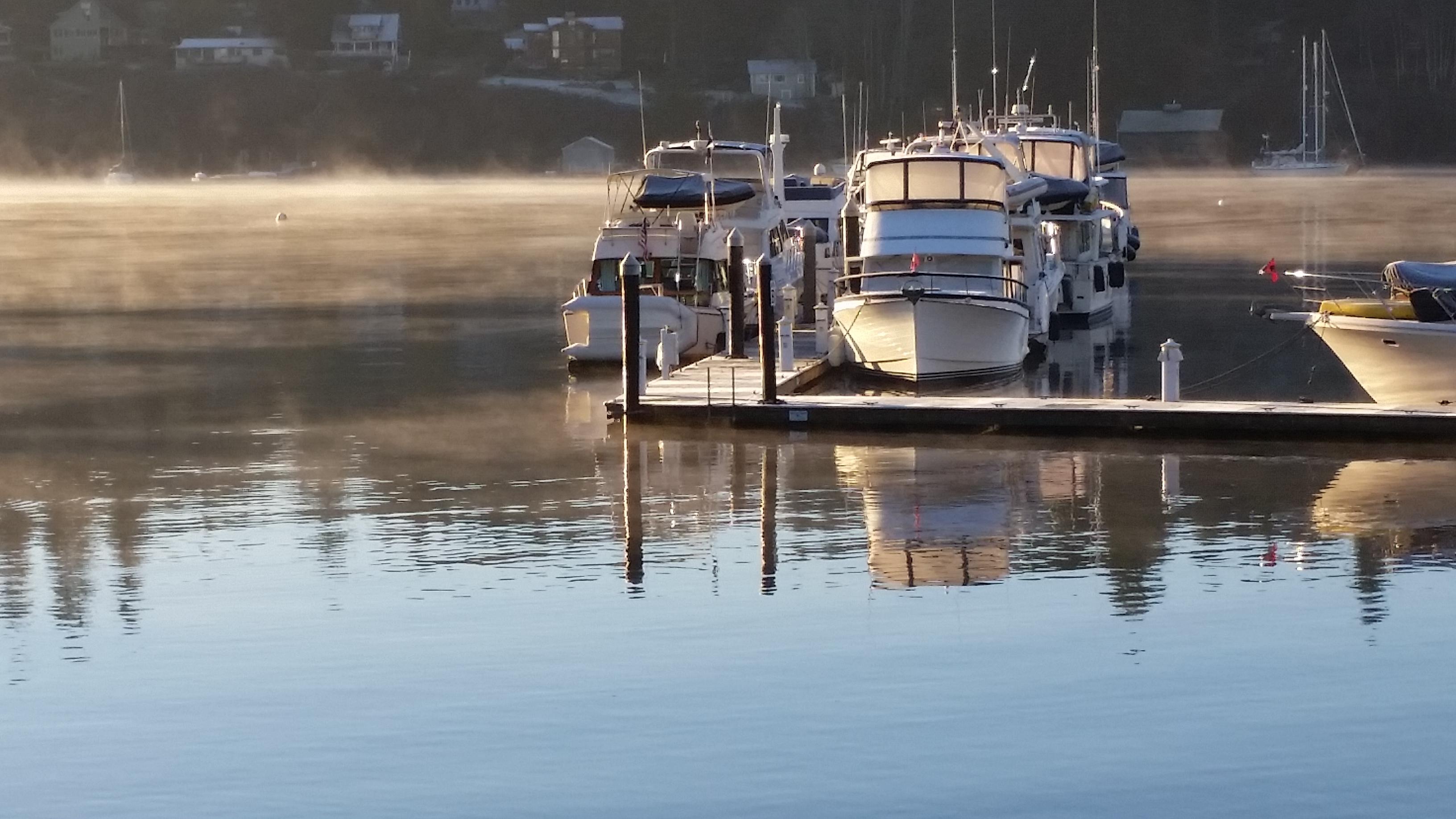 Sea smoke at Bainbridge