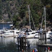 DSC_0741.JPG