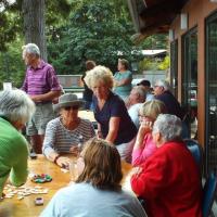 Domino Fun