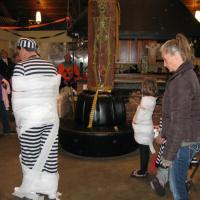 IMG_2337.jpg