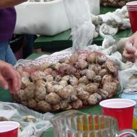 laborday 003.JPG